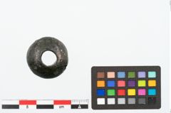 Foto von Bronzeringperle (NHMW-PRAE-025144)